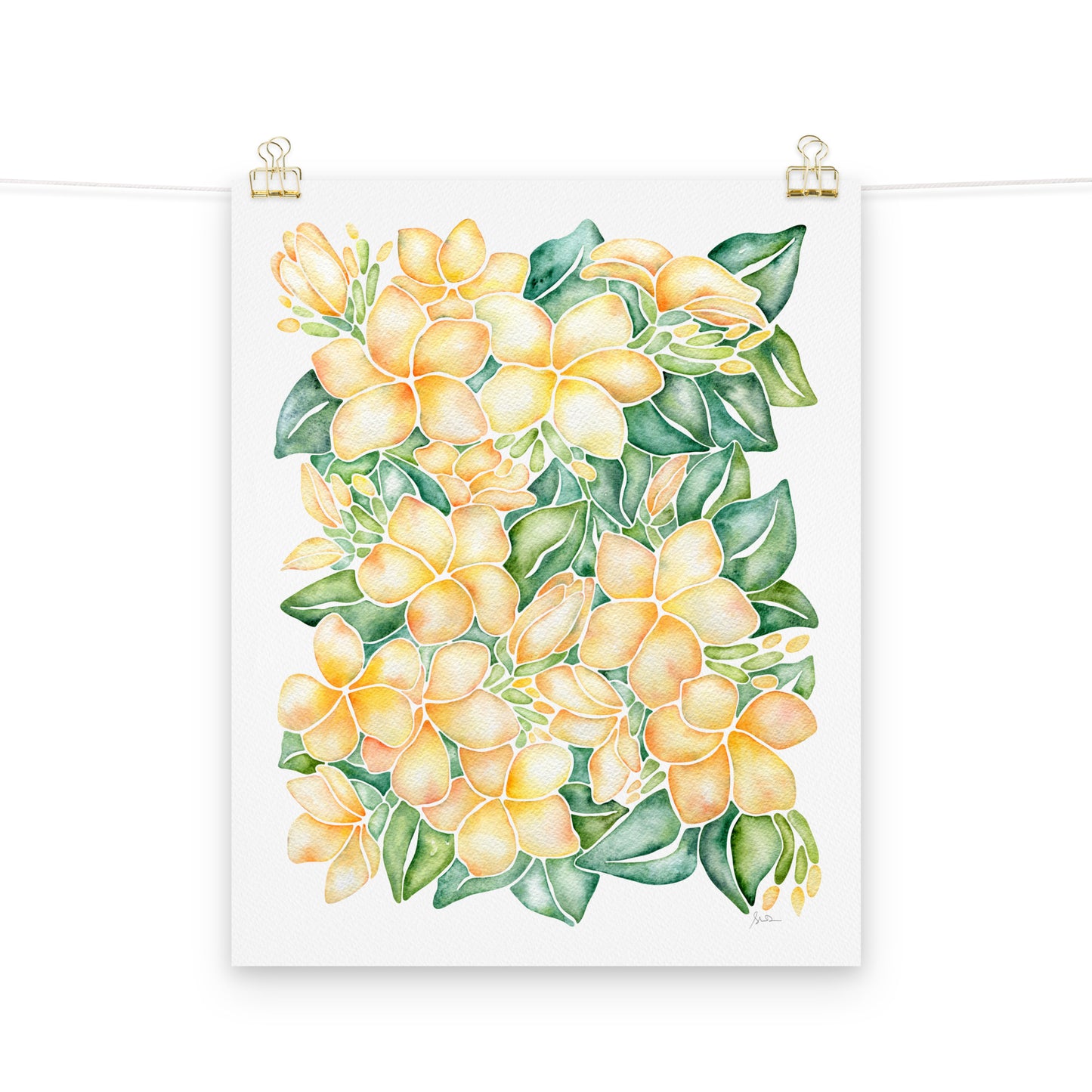 hand painted watercolor giclee of plumeria