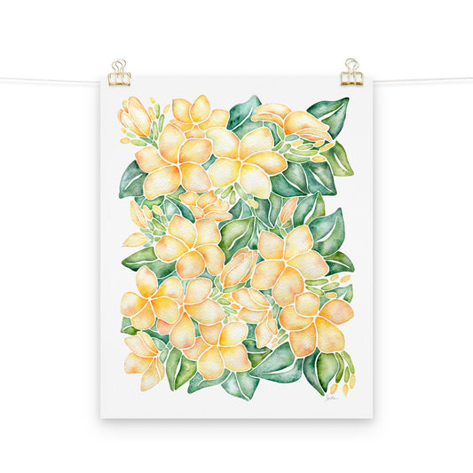 hand painted watercolor giclee of plumeria