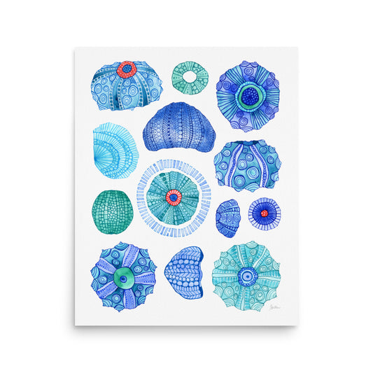 Thirteen Urchins- Giclee
