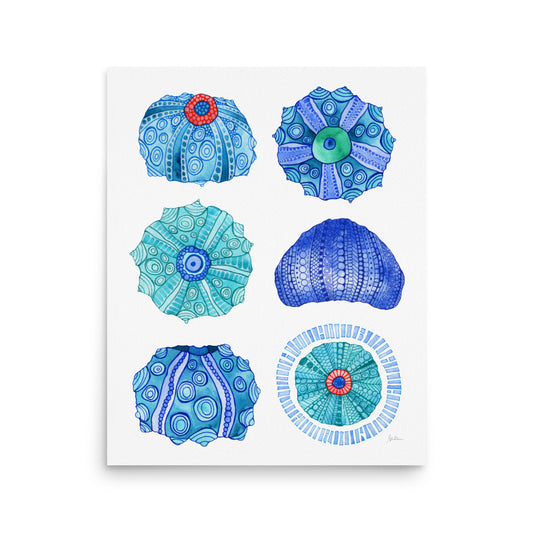 Six Urchins- Giclee