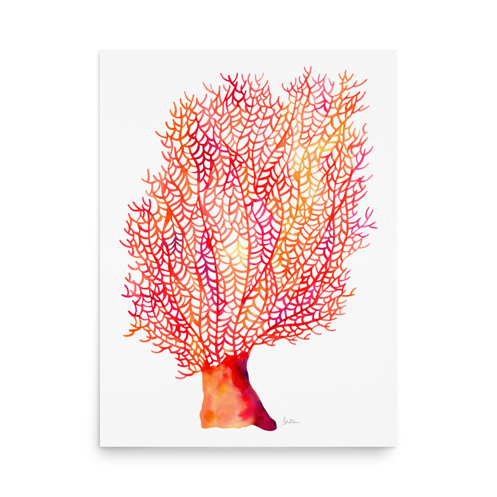 Fan Coral- Giclee