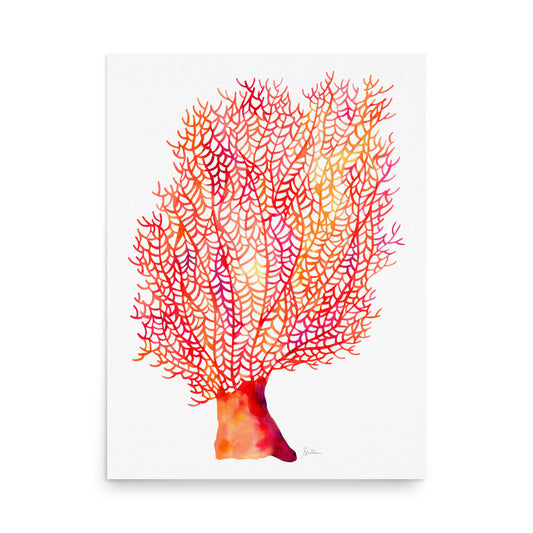 Fan Coral- Giclee