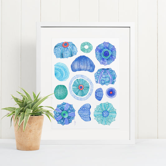 Thirteen Urchins- Giclee