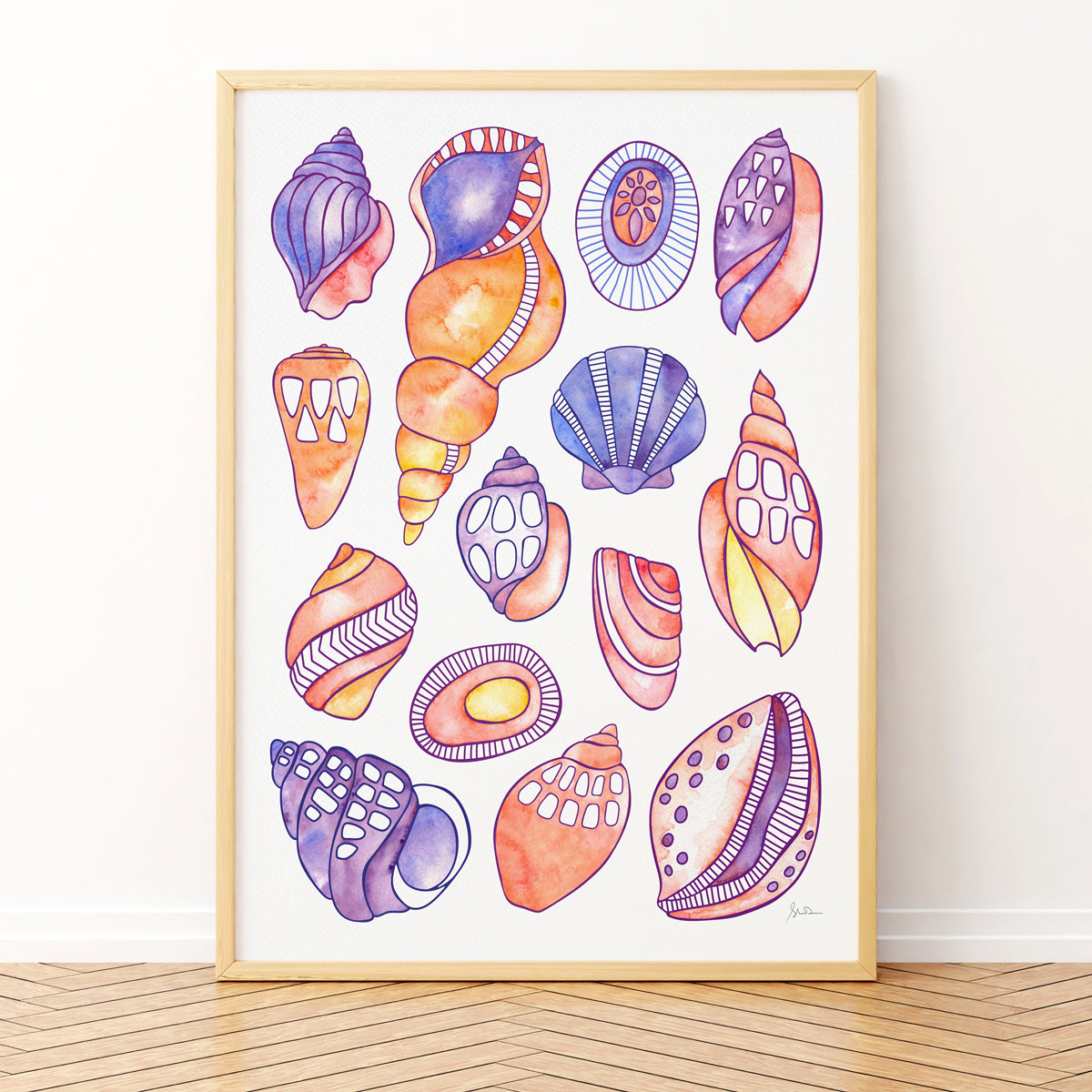 Framed artwork of colorful shell illustrations on a white wall.