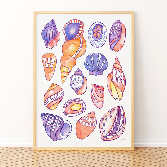 Framed artwork of colorful shell illustrations on a white wall.
