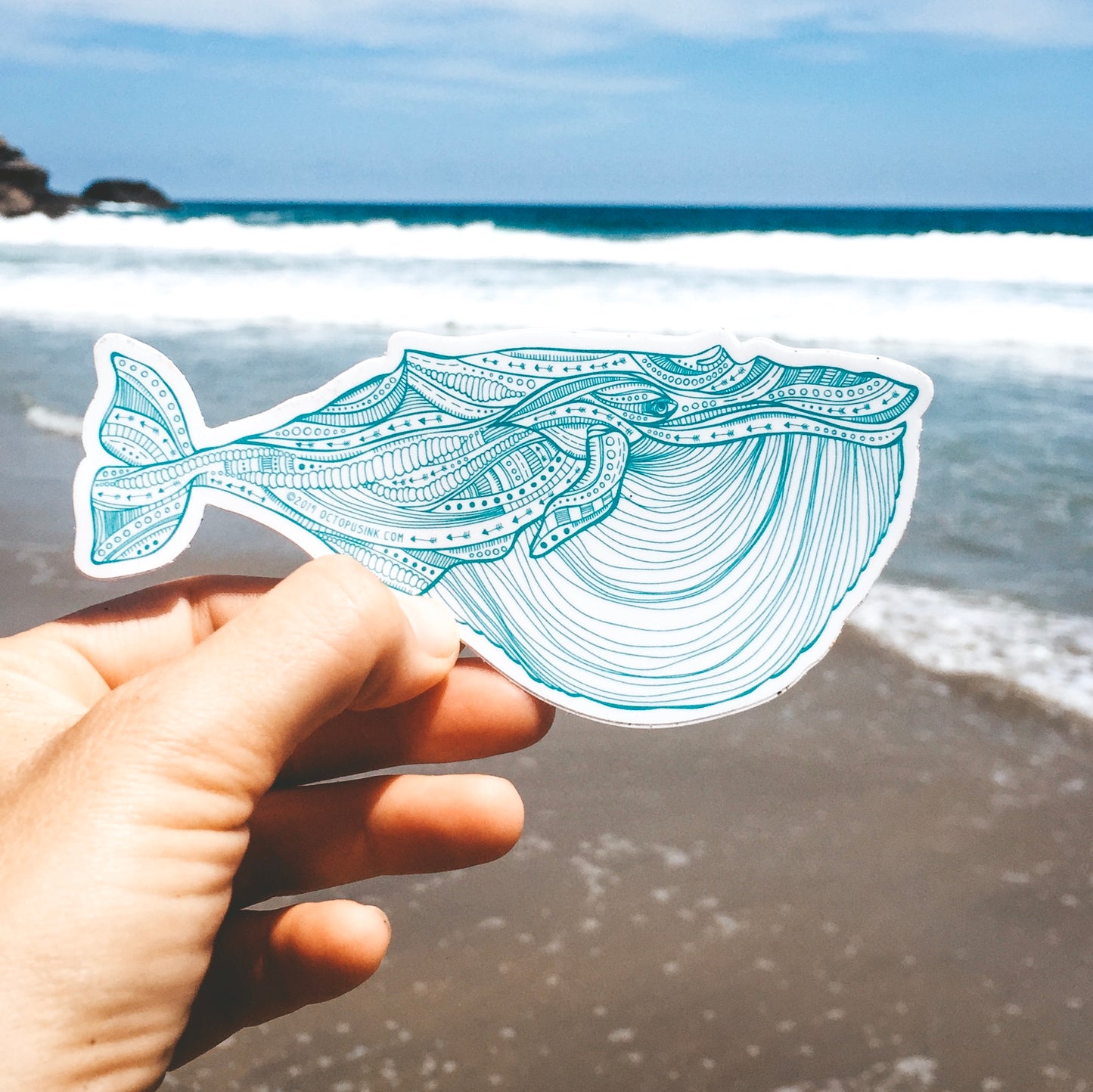 Blue Whale- Decal