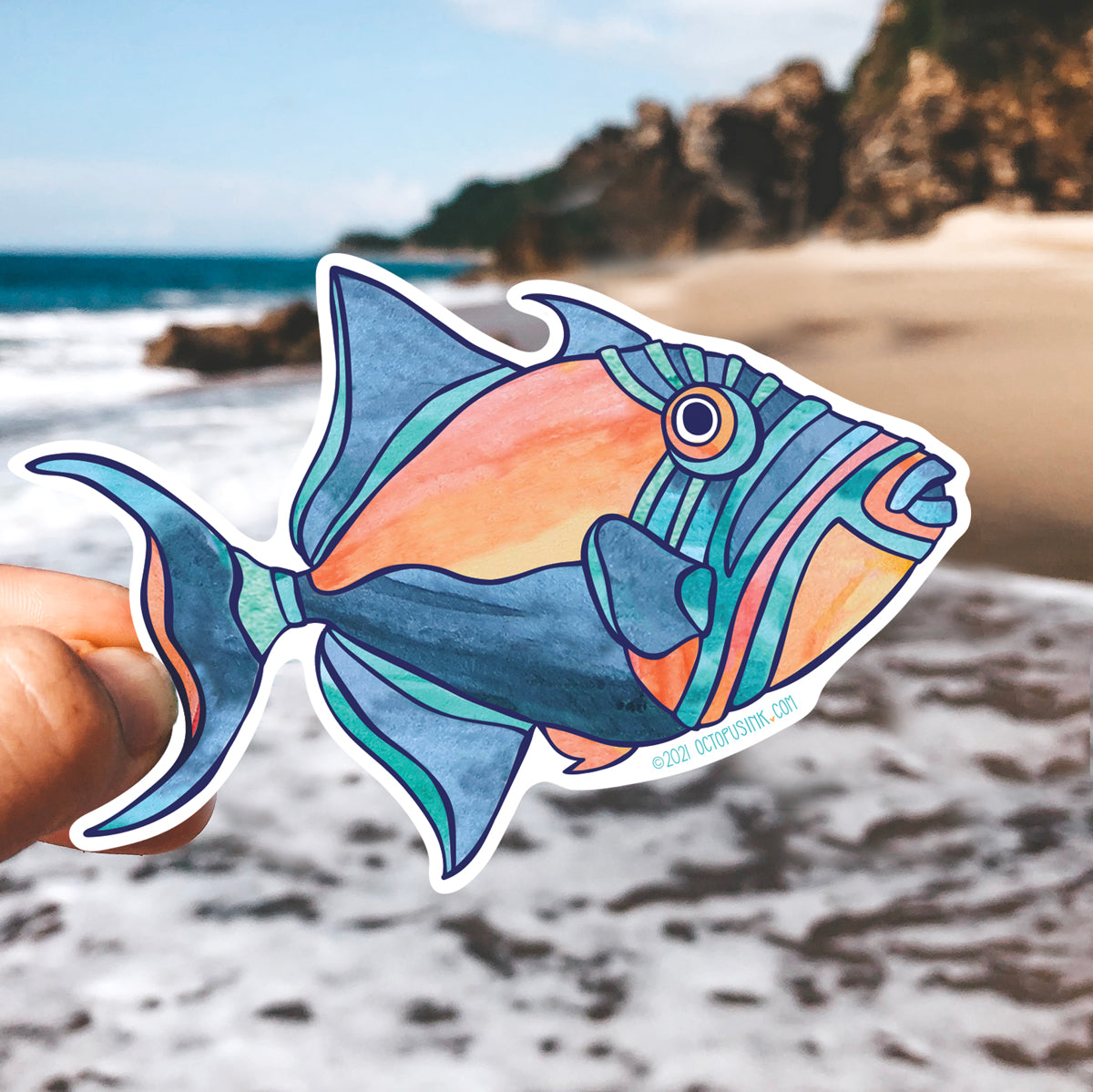 Queen Triggerfish- Decal