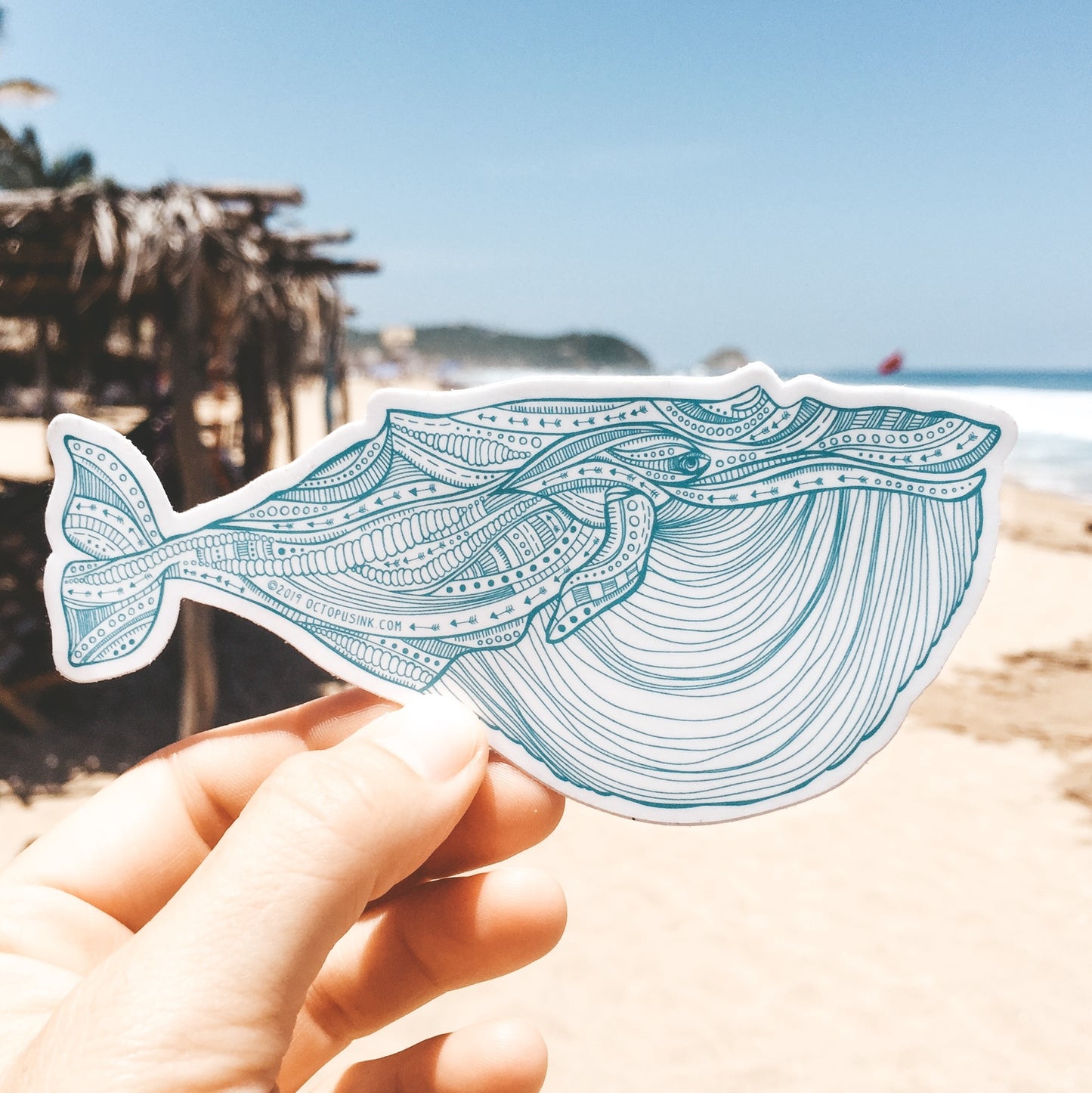 hand drawn blue whale decal