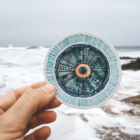 watercolor sea urchin sticker